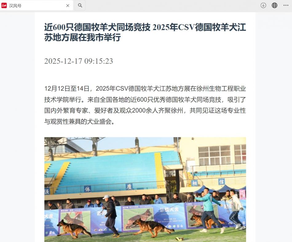 【汉风号】近600只德国牧羊犬同场竞技 2025年CSV德国牧羊犬江苏地方展在我市举行